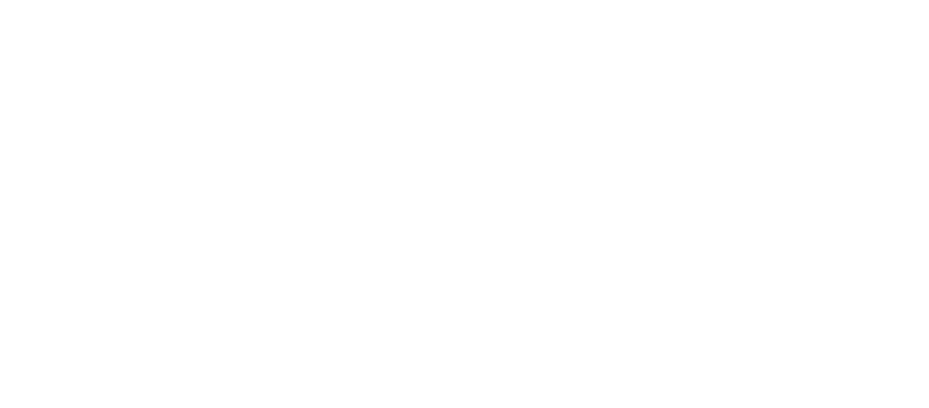 Visionary Sponsor
