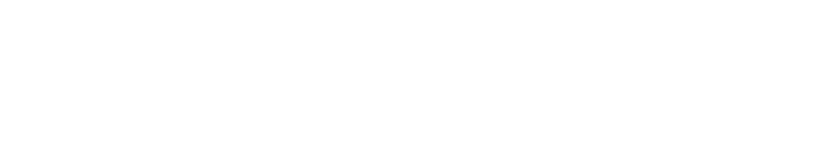 Partner 2